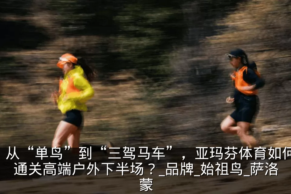 从“单鸟”到“三驾马车”，亚玛芬体育如何通关高端户外下半场？_品牌_始祖鸟_萨洛蒙