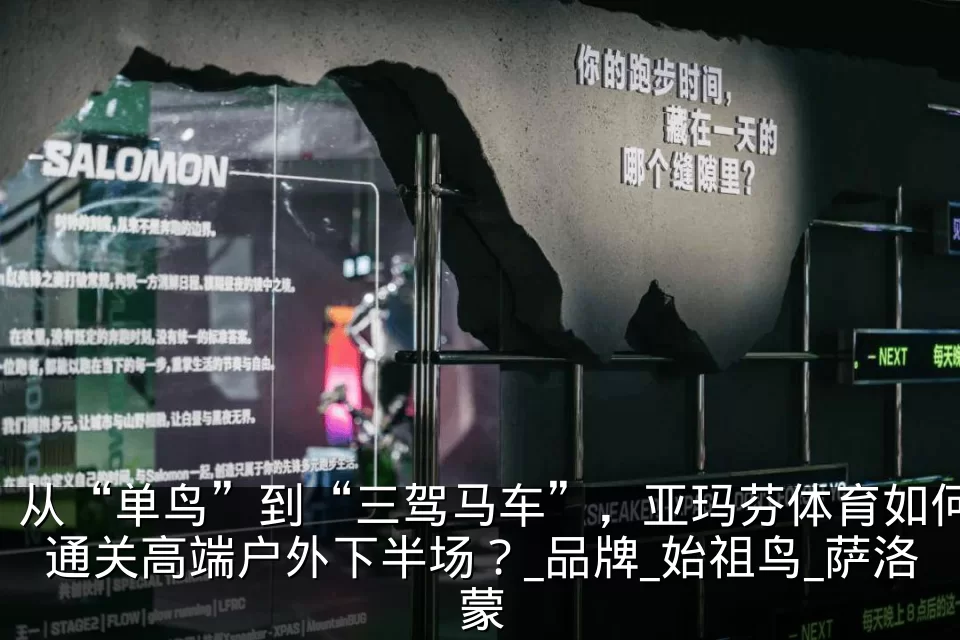 从“单鸟”到“三驾马车”,亚玛芬体育如何通关高端户外下半场?_品牌_始祖鸟_萨洛蒙