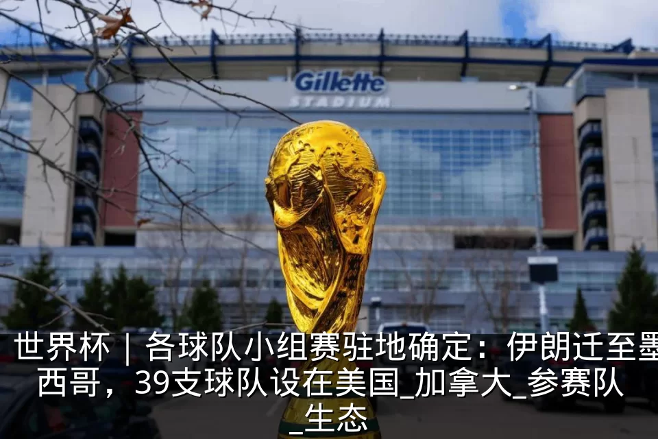 世界杯｜各球队小组赛驻地确定：伊朗迁至墨西哥，39支球队设在美国_加拿大_参赛队_生态